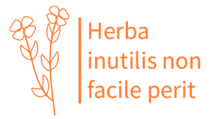 Logo tilpasset 300x160 pixel